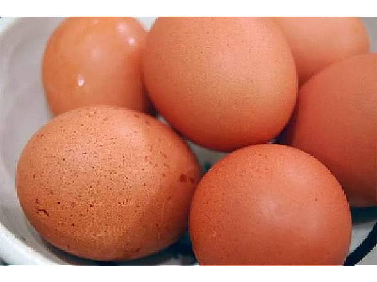 মুরগির ডিম ( লাল)